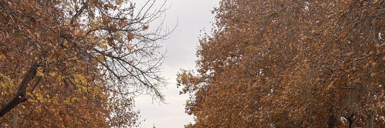 MohammadJSaberi's profile banner image