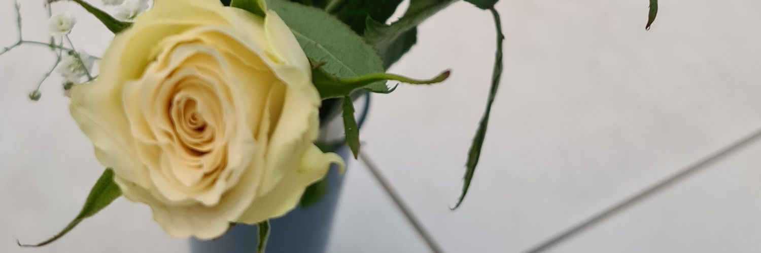 Baliqisb's profile banner image