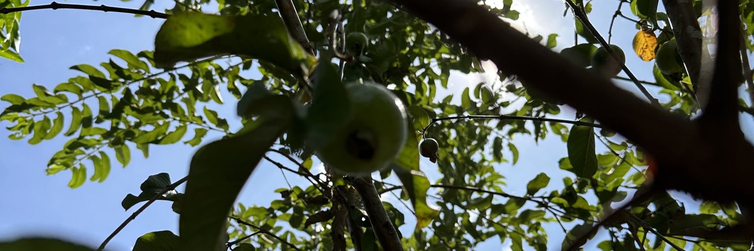 Bayang Totoo 🧡💙 banner