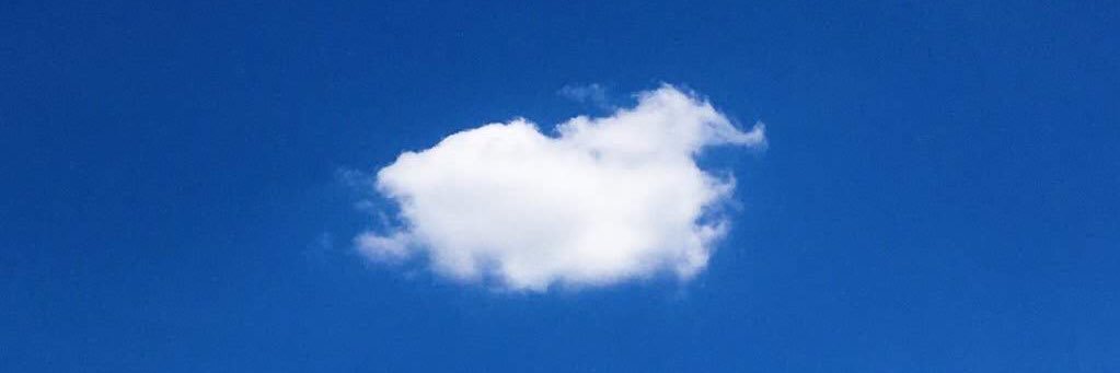 Dizzrie's profile banner image