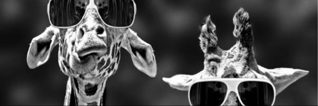 Ubljennifer's profile banner image