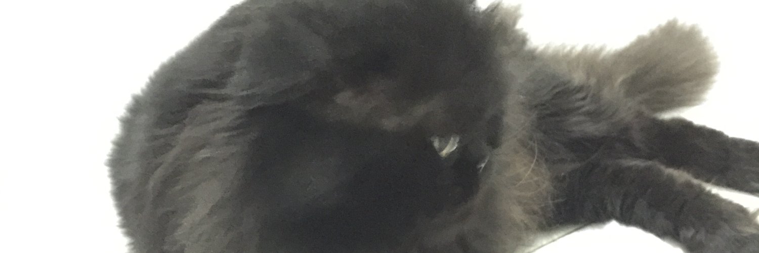 Zaza- banner