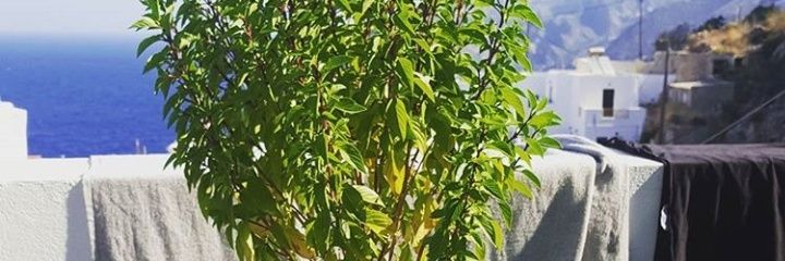 andreferto's profile banner image