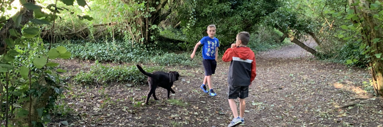 andrew summers banner