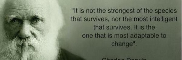 smoofee Profile Banner