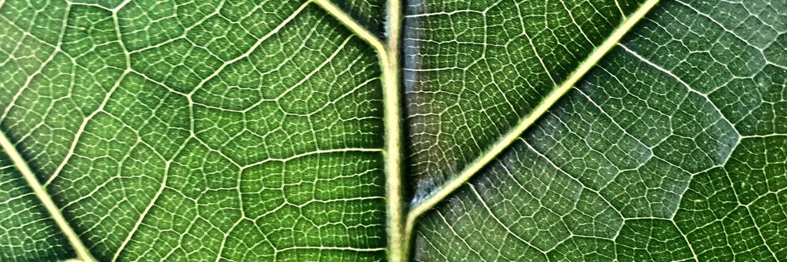 Jerick Mediavilla banner