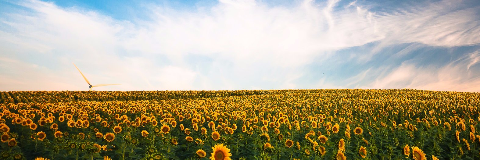 yukim33's profile banner image