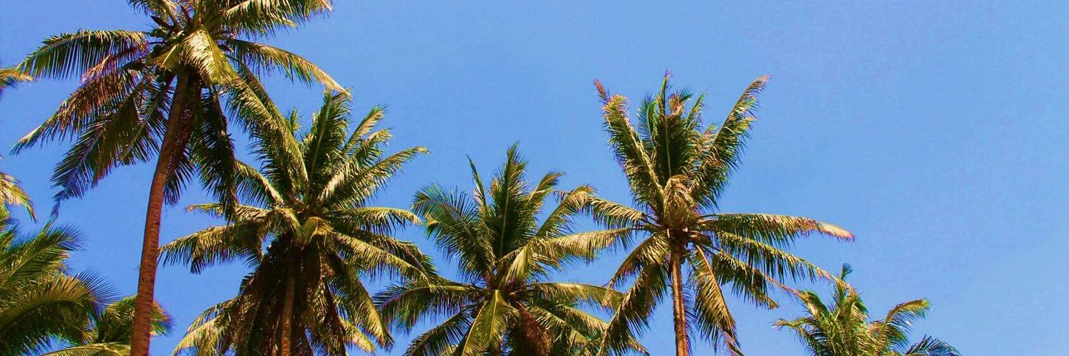 japshernandez's profile banner image