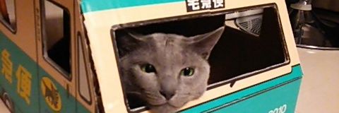 lalahlin's profile banner image