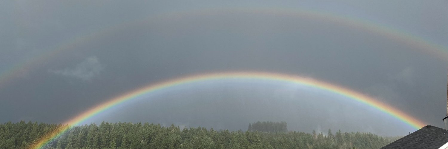 lizrightnow's profile banner image