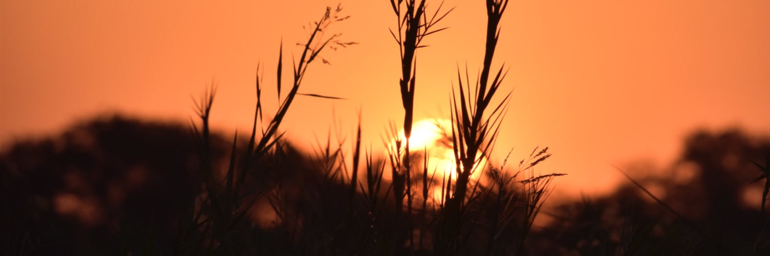 aaliyahmetune's profile banner image