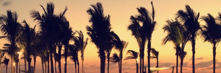8 banner