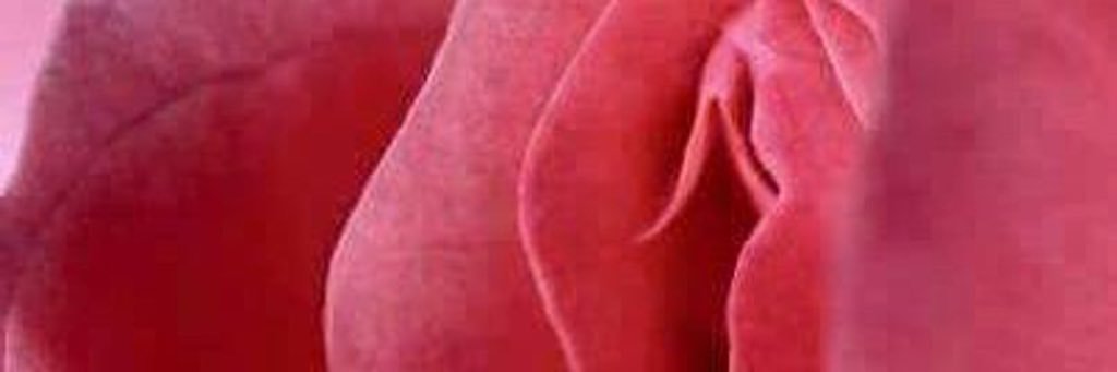 sain6ly's profile banner image