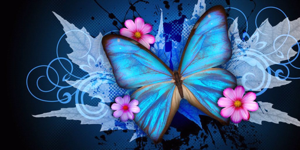 crazyfungus's profile banner image