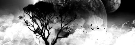 Sebastien Desemberg banner