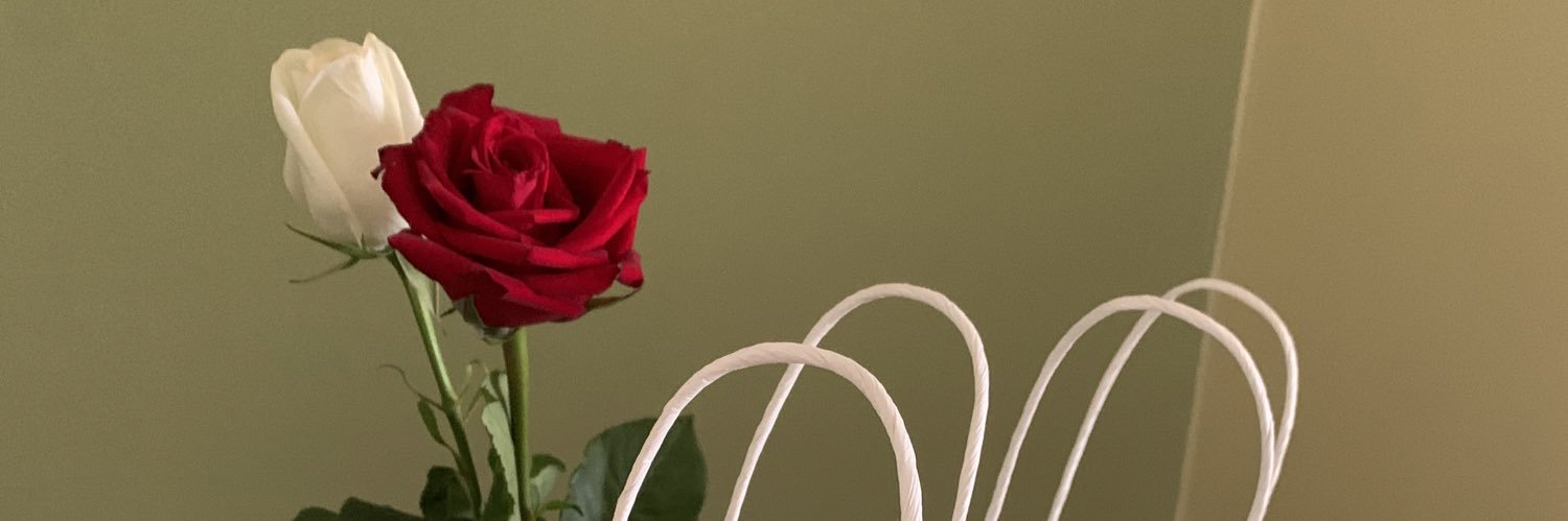 helen__tor's profile banner image