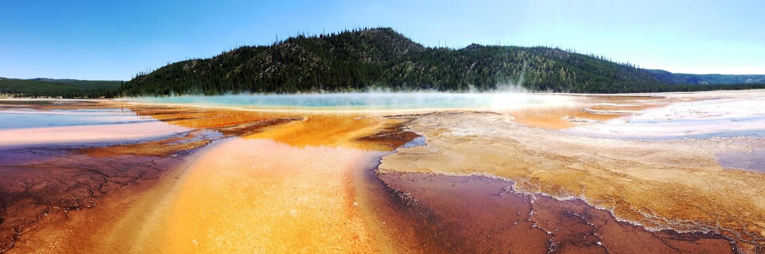 Bob Cronkleton banner