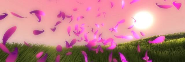 AmyDixon79's profile banner image