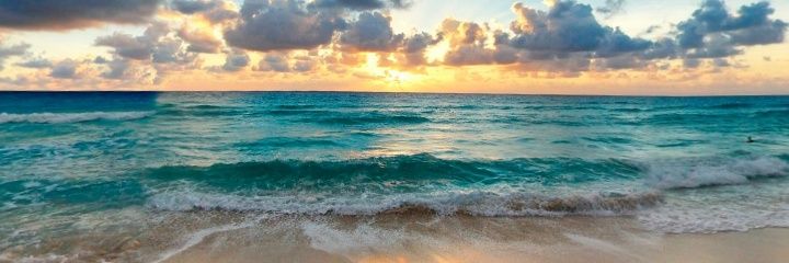 Dai_Rochaa's profile banner image