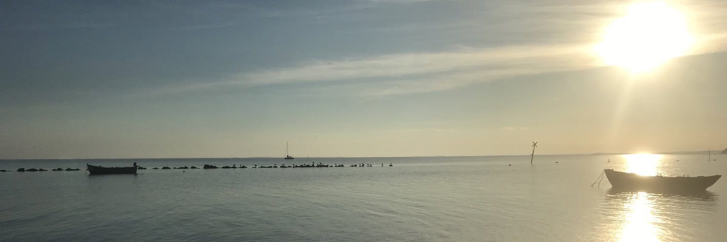 wwaldus's profile banner image