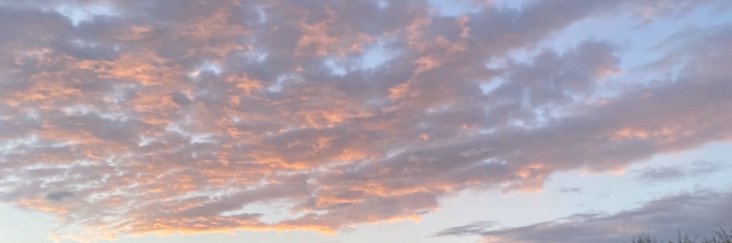 saffier0se's profile banner image