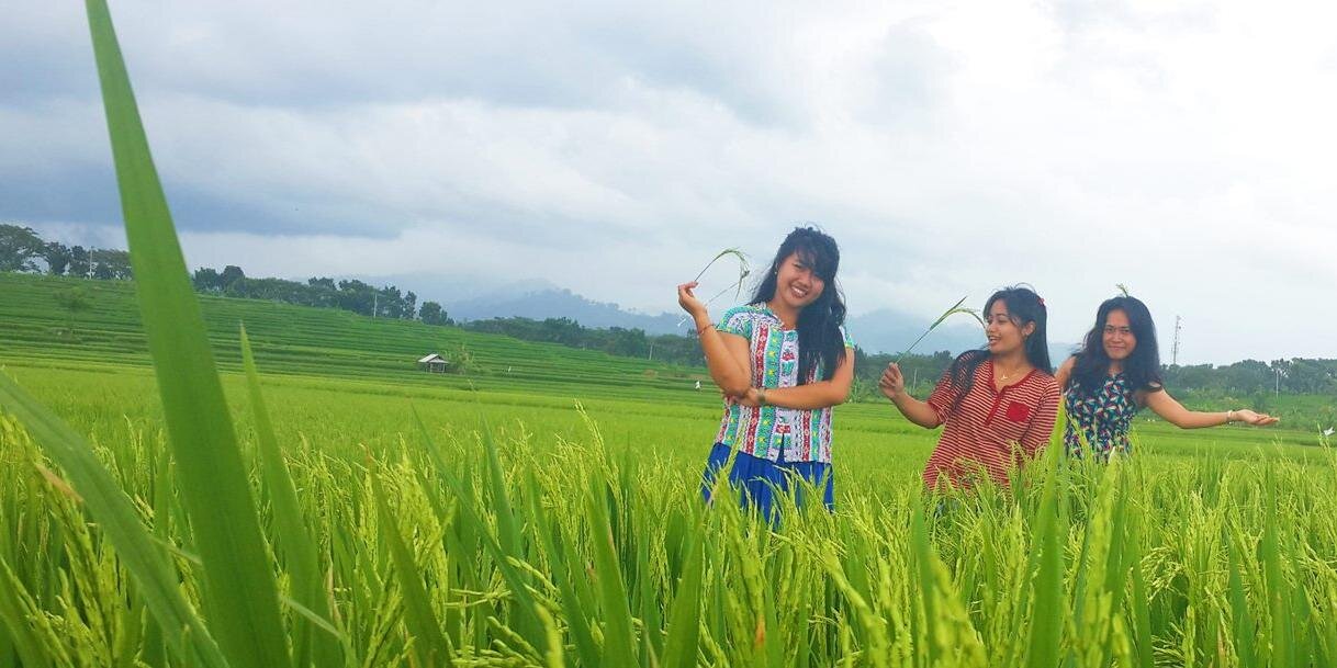tya_yue's profile banner image