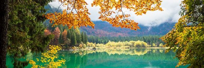 ¯\_(ツ)_/¯ ASMAA EL MOKHTARI (•◡•) banner