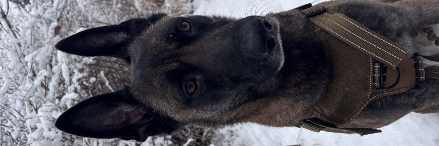 AndrewTheWave's profile banner image