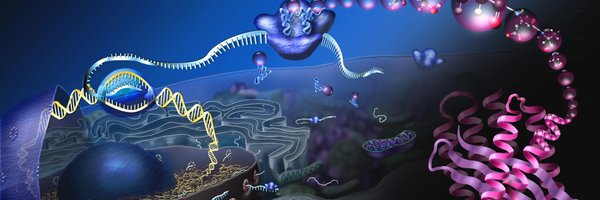 SGSBiology Profile Banner