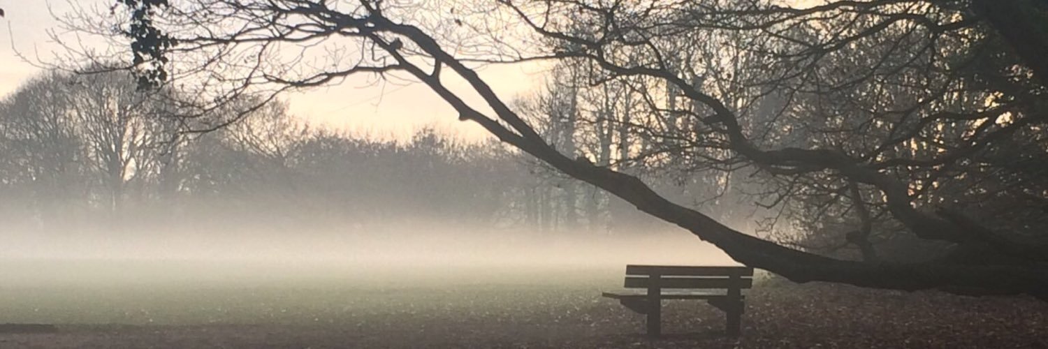 lucyebbrellx's profile banner image