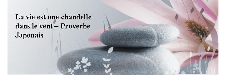 🇨🇵 Antinea45 🇨🇵 banner