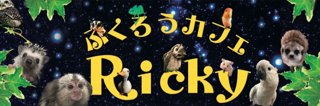 ricky20150828's profile banner image