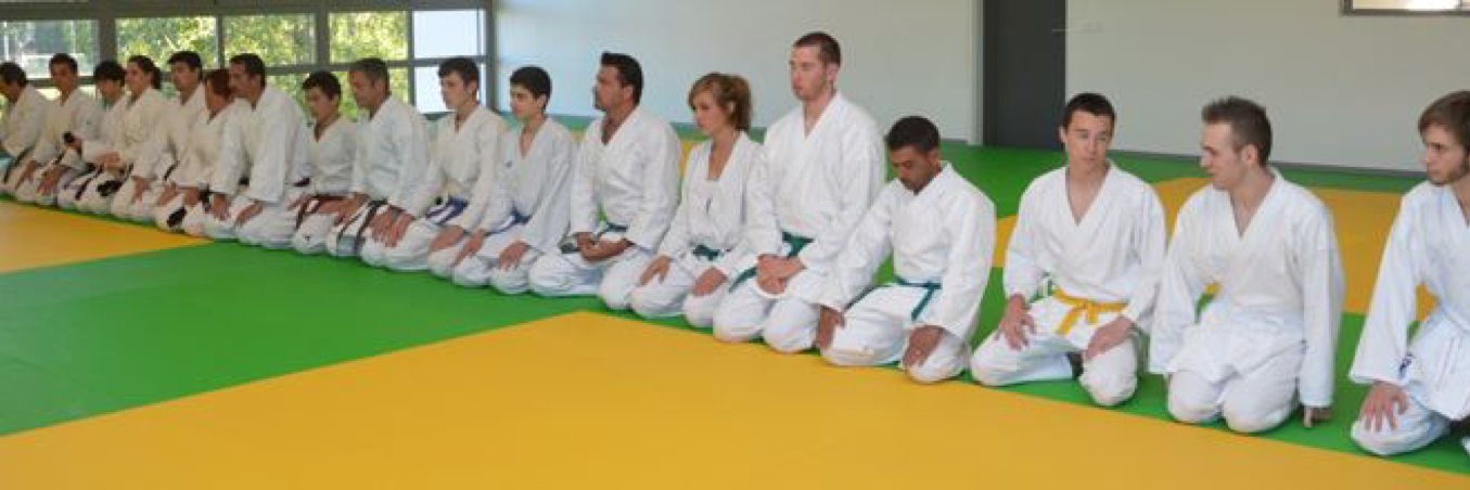 PeliKarate's profile banner image