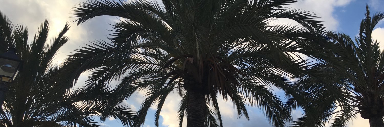 kezgbuk's profile banner image