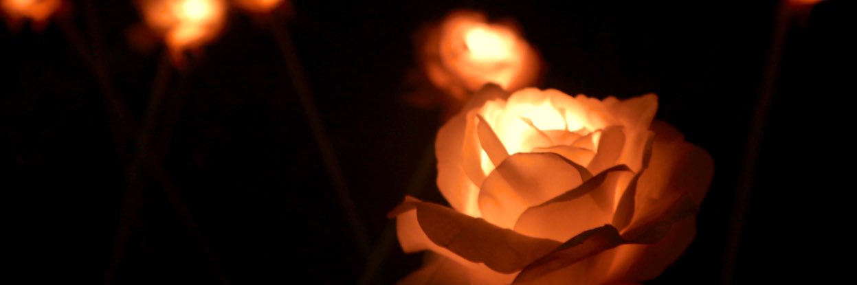 smrcosmos's profile banner image