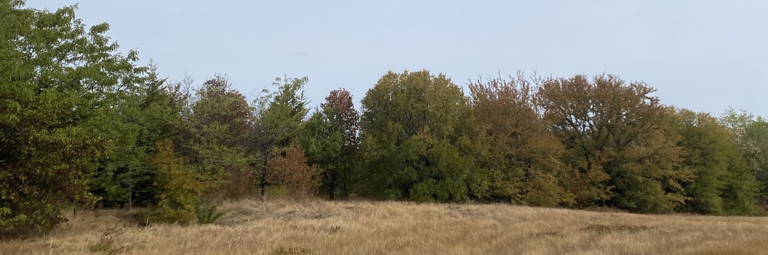 eberkonig_old's profile banner image