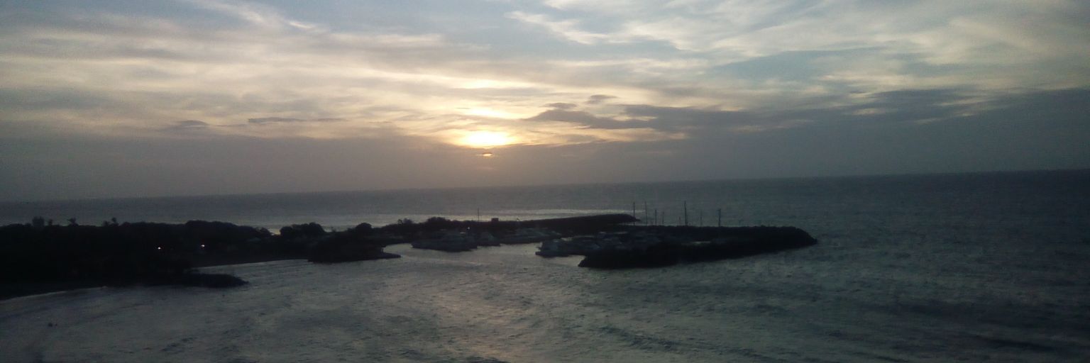 joselinnutric's profile banner image