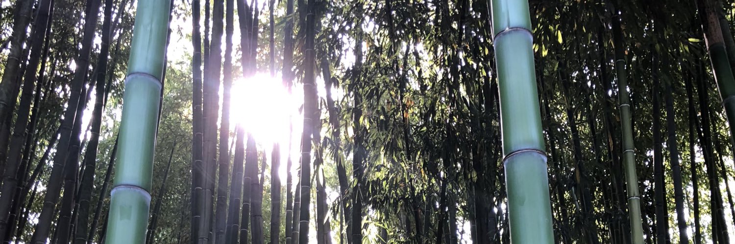 EmmaPerryman1's profile banner image
