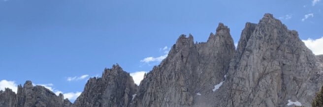 shelfware's profile banner image