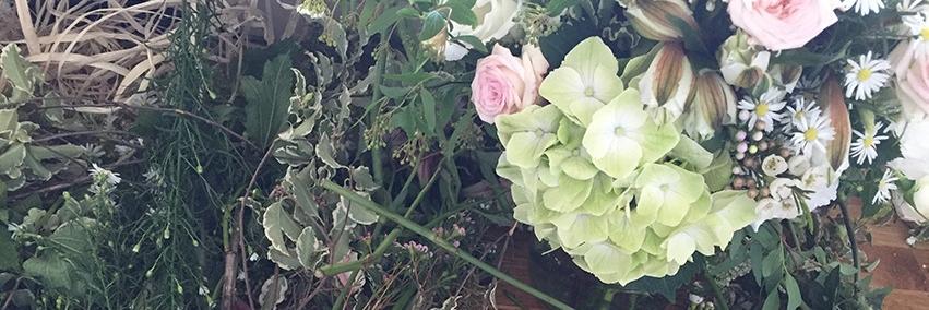Flowerness_fr's profile banner image