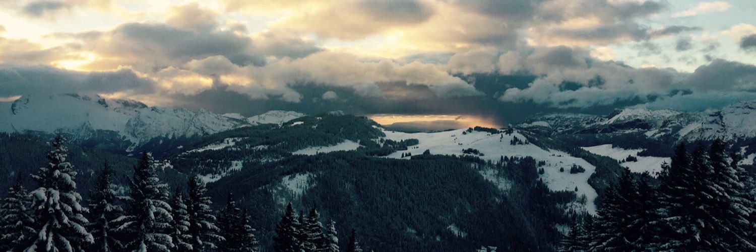 Raphaël Simon banner