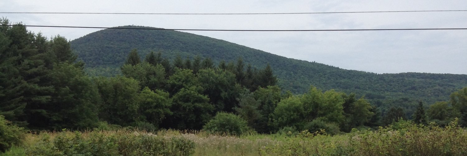 ska25's profile banner image
