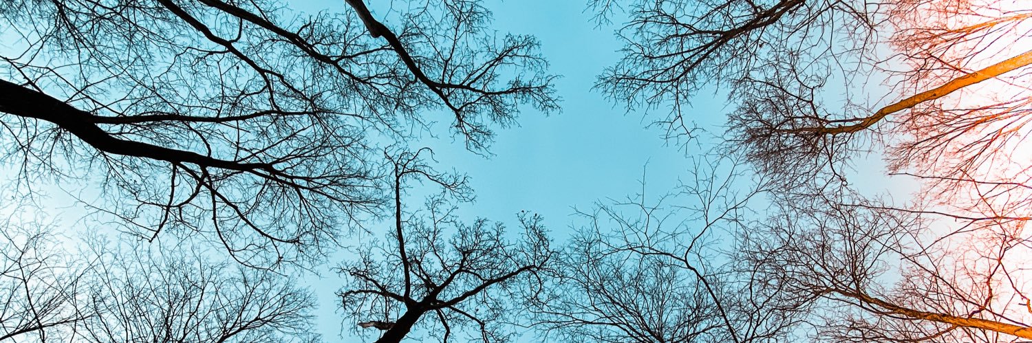 javierJcarrasco's profile banner image