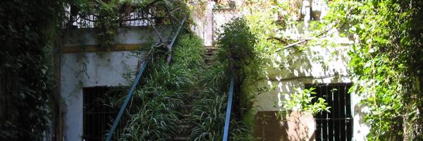 janetstollery Profile Banner