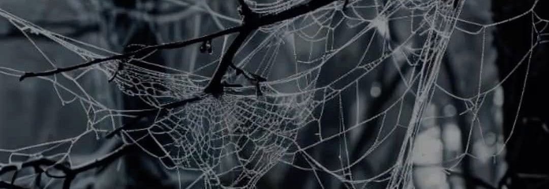 LordAraknydd's profile banner image