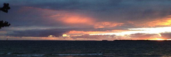 johan_orrenius Profile Banner