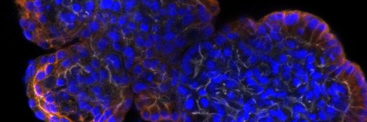 Quique Montagud banner