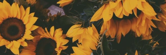 roobybooby_'s profile banner image