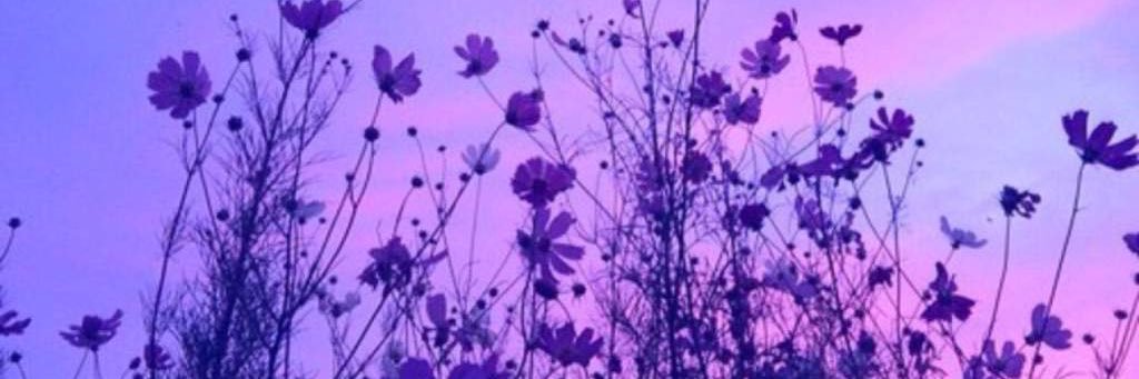 Victwerkiaa's profile banner image
