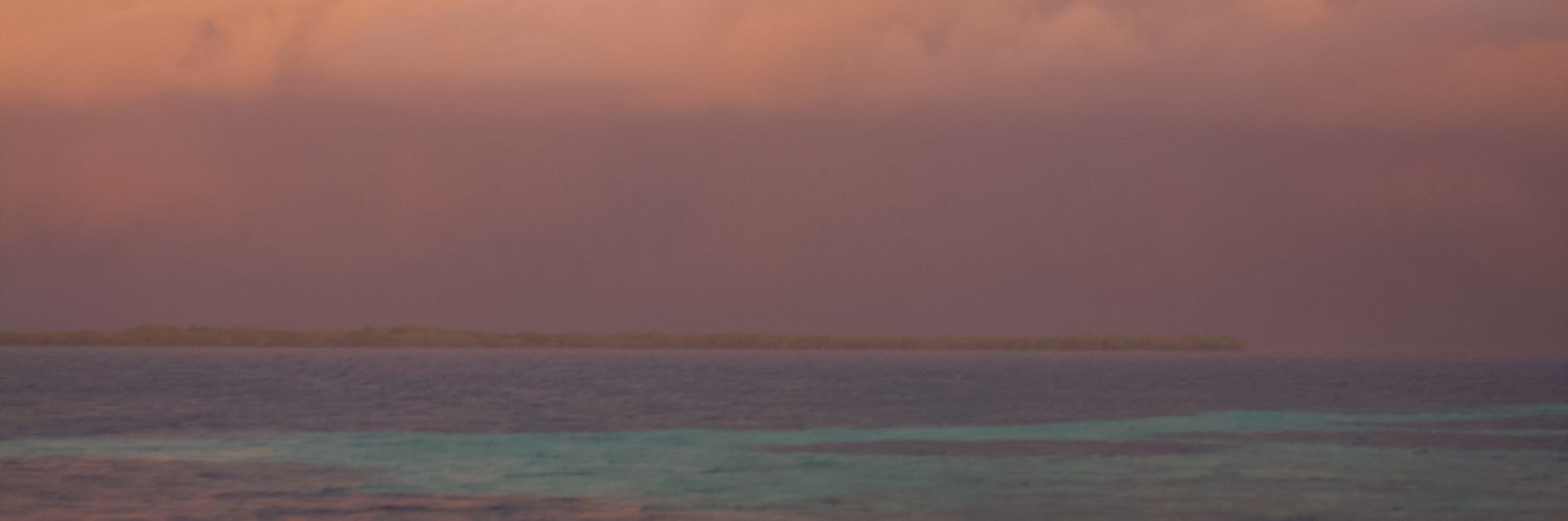 sarabeth08's profile banner image